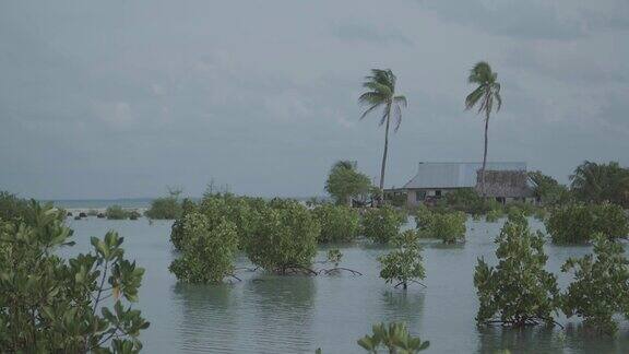 基里巴斯被洪水淹没的海岸线