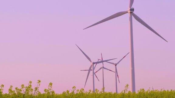 可再生能源油菜田里的风车风能德国