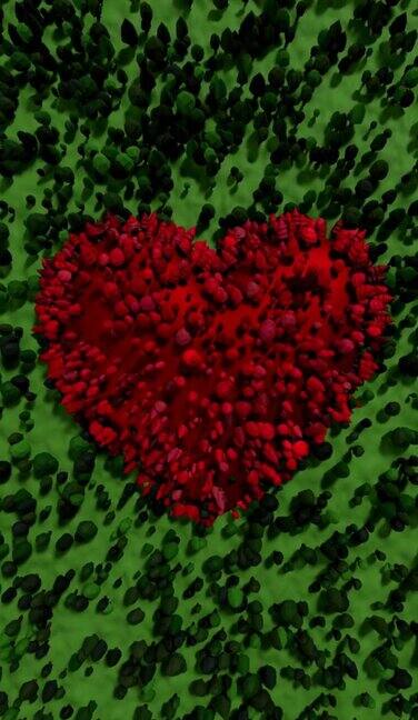 红色荆棘创建一个心脏对绿色的草背景在4K分辨率垂直视频