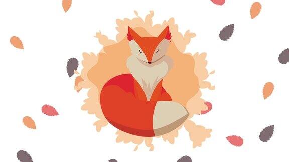 你好秋季动画与野生狐狸和树叶图案