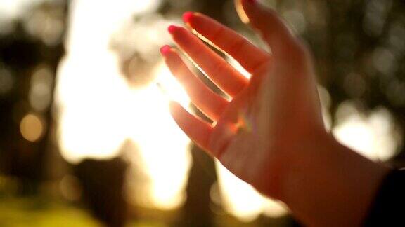 人的手和阳光