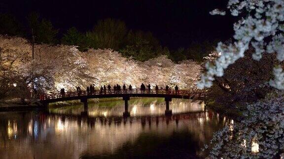 宽崎公园的樱花在夜晚绽放