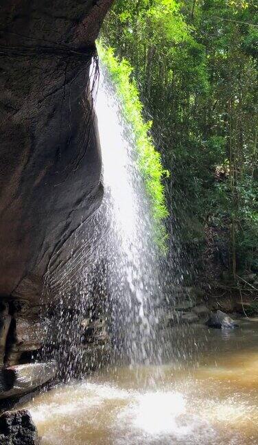 淡水瀑布镇一个岩石瀑布进入一个晶莹剔透的池下面被茂密的雨林包围