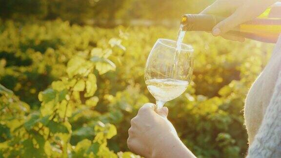 以葡萄园为背景将葡萄酒倒进玻璃杯葡萄酒旅游