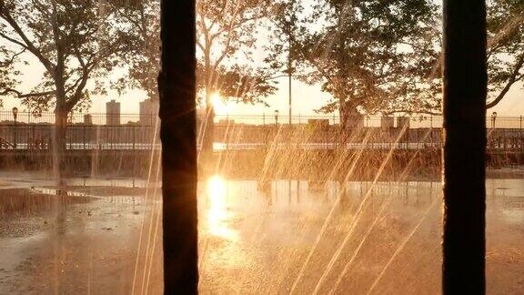 公园在夏季日落与树木的剪影和一个喷泉背景