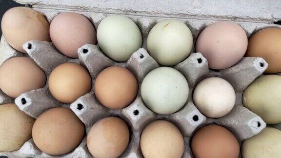 农场养鸡自由放养鸡蛋各种颜色包装在蛋盒农场到餐桌美国西部农场生活和可持续生活4K视频系列
