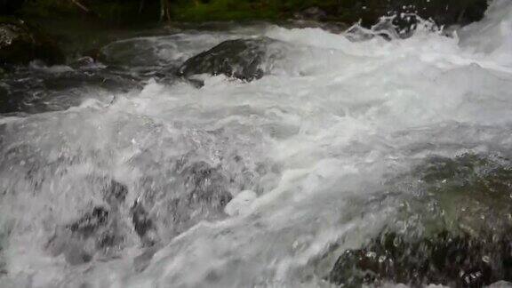 慢条斯理的山涧清澈小溪流过岩石河面近石随流水清澈见底的流水在山间流淌