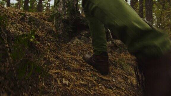 徒步旅行者的特写慢动作腿拍摄在秋天的森林上坡