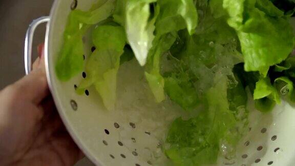 洗蔬菜沙拉