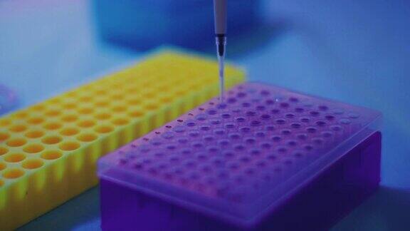 遗传分子实验室:分离病毒变种的DNA研究