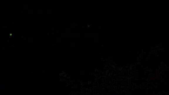 萤火虫在黑暗中飞翔的视频