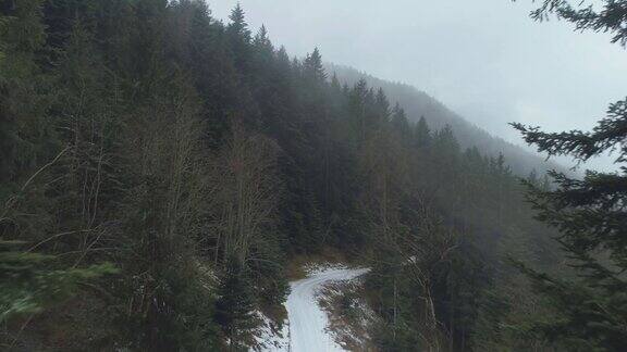 空中飞过山林中的常青树越过一条白雪皑皑的山道