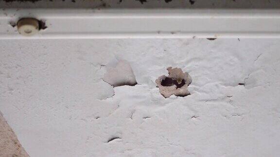 旧的白色天花板由于屋顶漏水而有洞