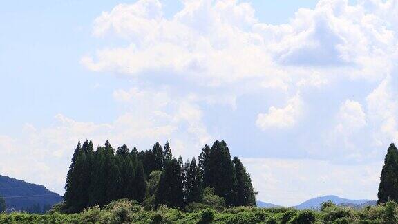 蓝天白云在日本秋天的季节