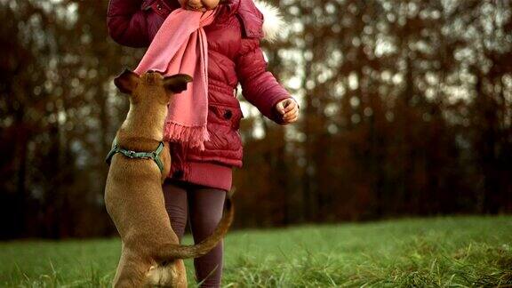 女孩和她的小狗玩球