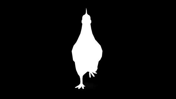 奔跑的鸡在黑色背景剪影动物野生动物游戏回到学校3d动画短视频电影卡通有机色度键角色动画设计元素循环