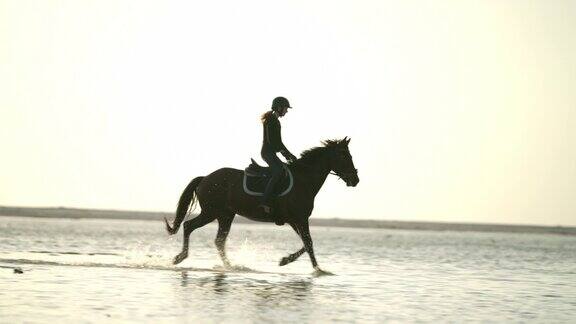年轻女子骑马在阳光明媚的海洋海滩冲浪戏水