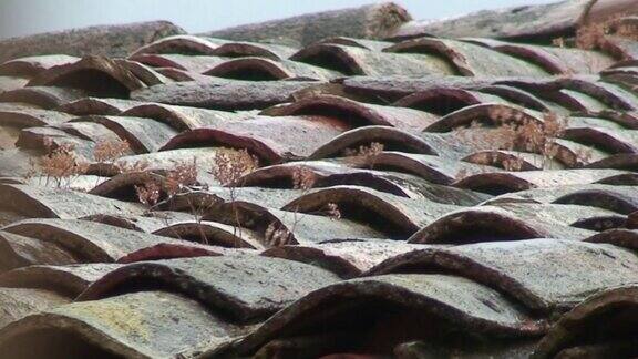 有旧瓦片的老式屋顶