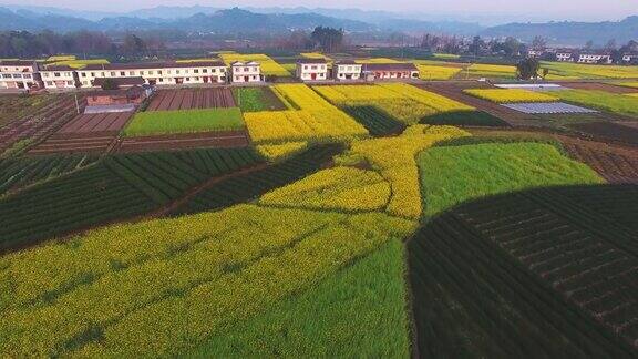 鸟瞰中国四川农村景观与油菜种子田和村庄4k