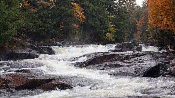 秋天的河流和瀑布森林自然景观魁北克加拿大