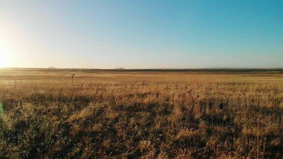 在日落日出时在犹他州晴朗的蓝天下移动无人机拍摄的沙漠平原