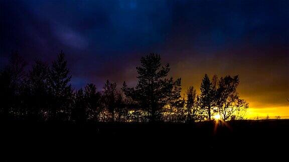 森林里的日落时光流逝