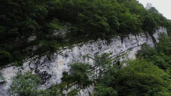 俯瞰峡谷的山峦密密的绿林从一架无人机中掠过