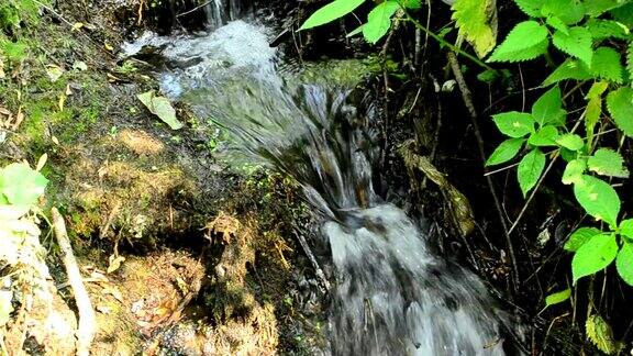 在树叶茂盛的森林中有瀑布的小溪