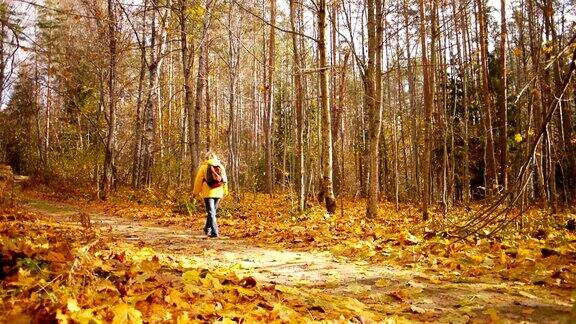 漫步在秋天的森林里