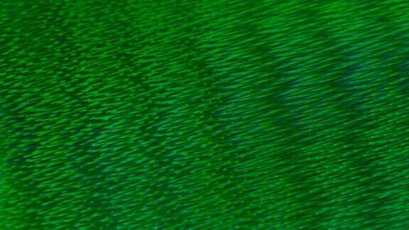 抽象的绿色发光粒子运动