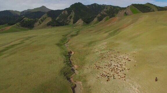 中国新疆天山草原鸟瞰图
