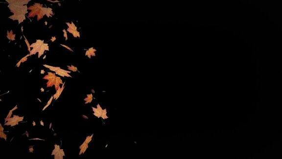 秋天落叶飘落的动画与透明的背景