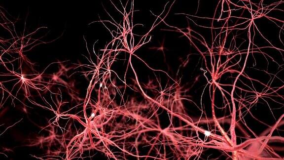 神经元突触网络3d动画