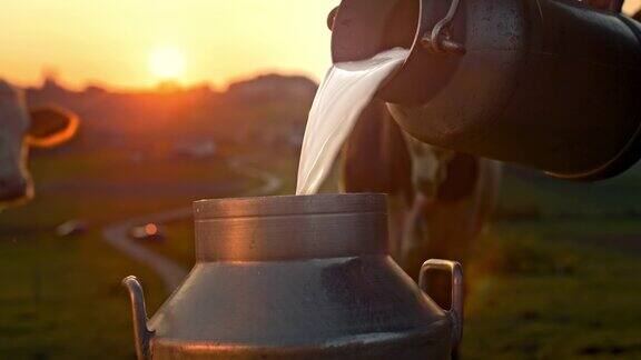 日落时分农夫将牛奶倒进桶里