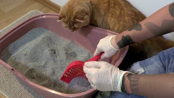 清洁猫砂盒妇女固定防护手套