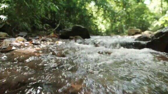 水清澈的小溪河流在森林深处流动缓慢的运动