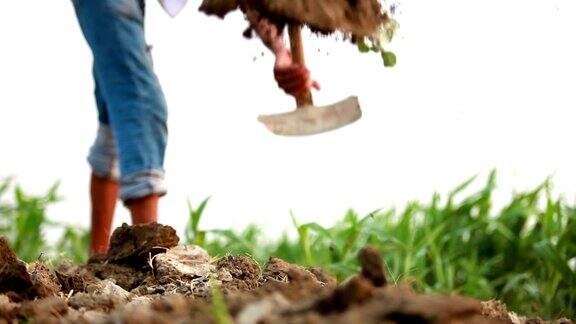 农夫在花园里用锄头挖地