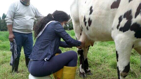 被新冠病毒隔离的农民正在给他的农场奶牛挤奶