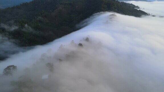 自然视频鸟瞰无人机令人惊叹的景象雾海最美丽的泰国南部的雾海观察点安达曼海雾视点在泰国攀牙的考开奈