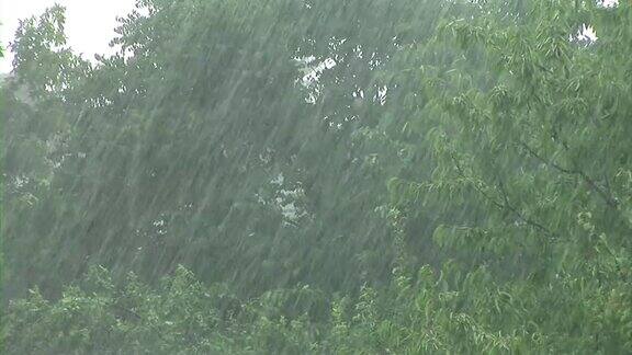 高清:暴风雨天气