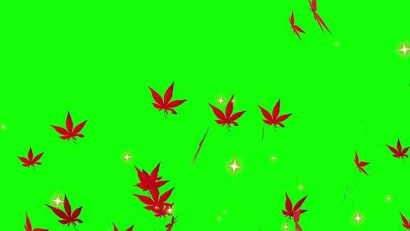 秋天枫叶粒子循环动画绿屏