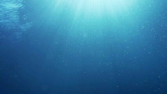 海面下辽阔清澈的海洋