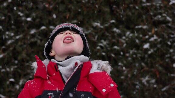 冬天的森林里小男孩用舌头抓着雪花