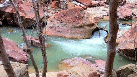 冬天锡安国家公园的维珍河的绿水和红色岩石