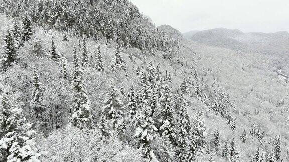 加拿大魁北克暴风雪后冬季北方自然森林的鸟瞰图