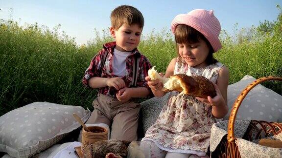 可爱的小女孩和快乐的男孩分享面包哥哥和妹妹在新鲜的空气中玩耍为健康的孩子提供健康的食物