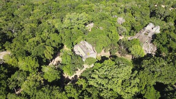 鸟瞰图玛雅废墟和金字塔在丛林
