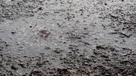 路上大雨的特写镜头雨路