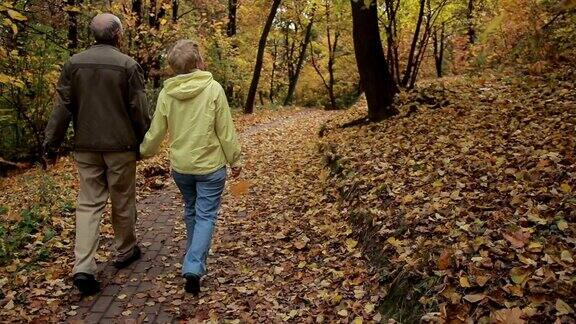 一对老年夫妇在秋天的公园里享受浪漫的散步