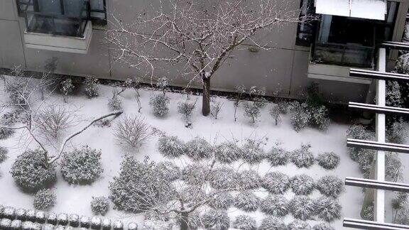 鸟瞰图低层公寓和小树在寒冷的暴风雪雪天